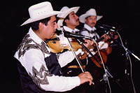 Regional Music Traditions